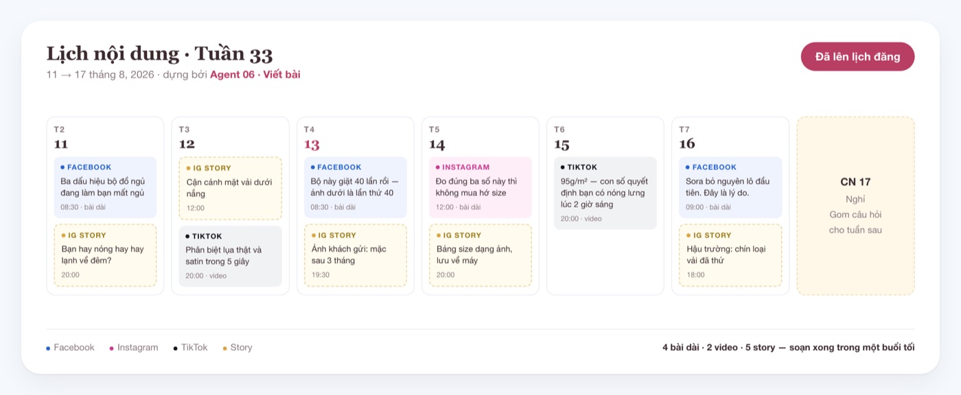 Lịch nội dung một tuần đã lên lịch sẵn cho Facebook, Instagram và TikTok
